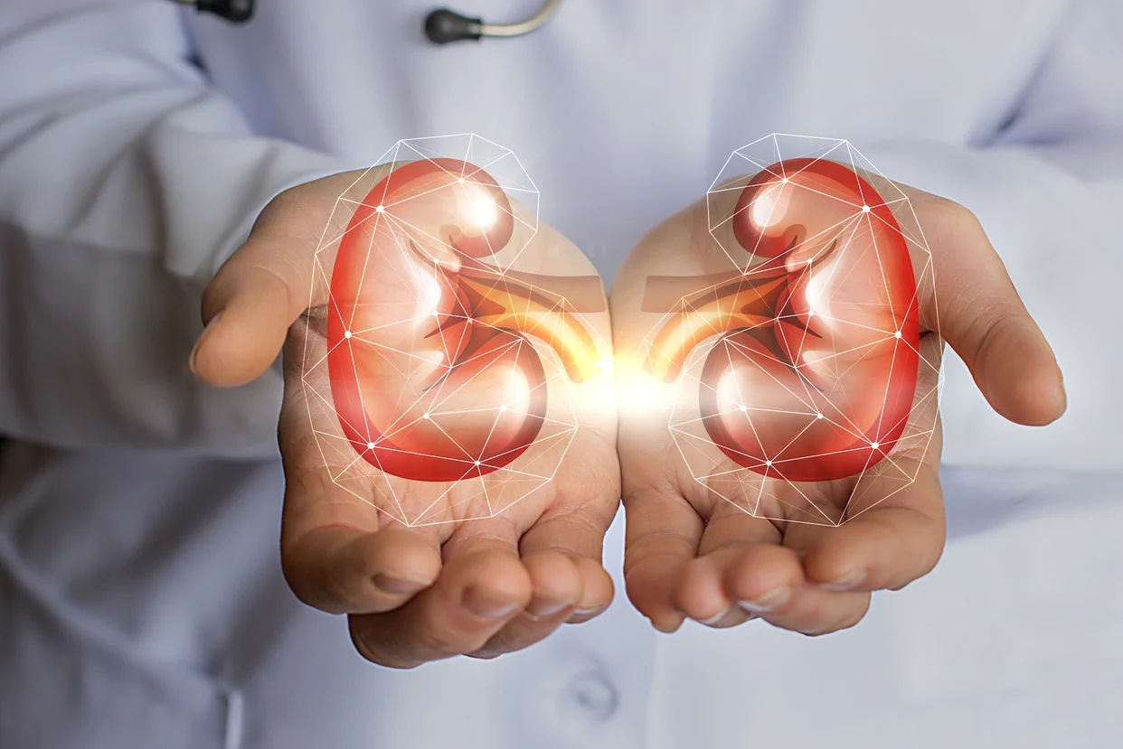 Renal
